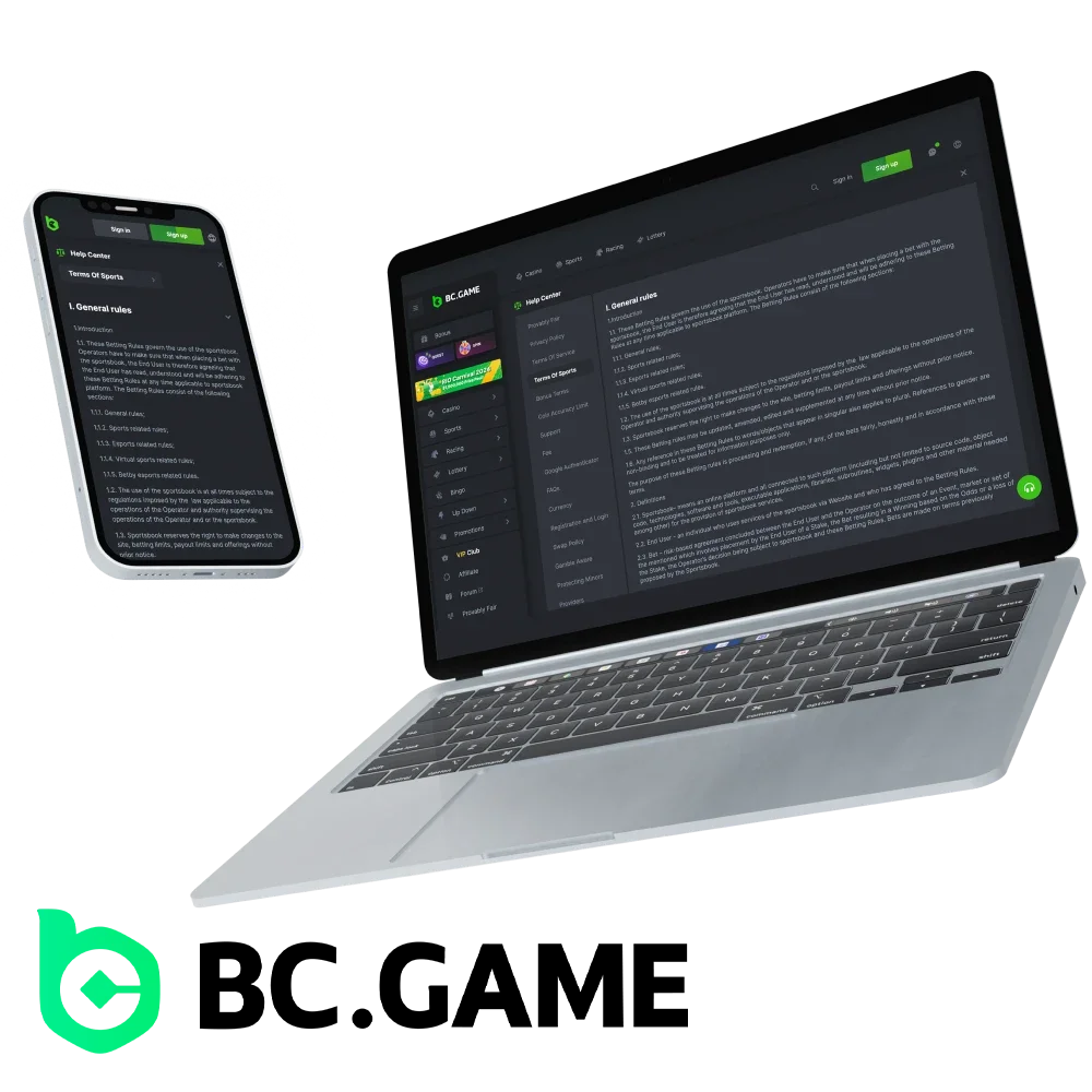 What are the rules for players in the BC Game online casino.