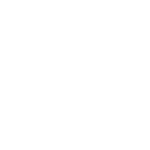 Evolution provider logo.