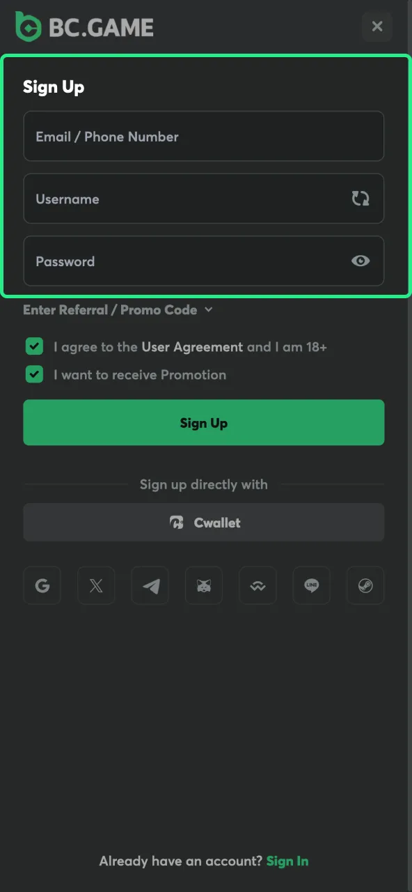 BC Game site enter the correct email and password.